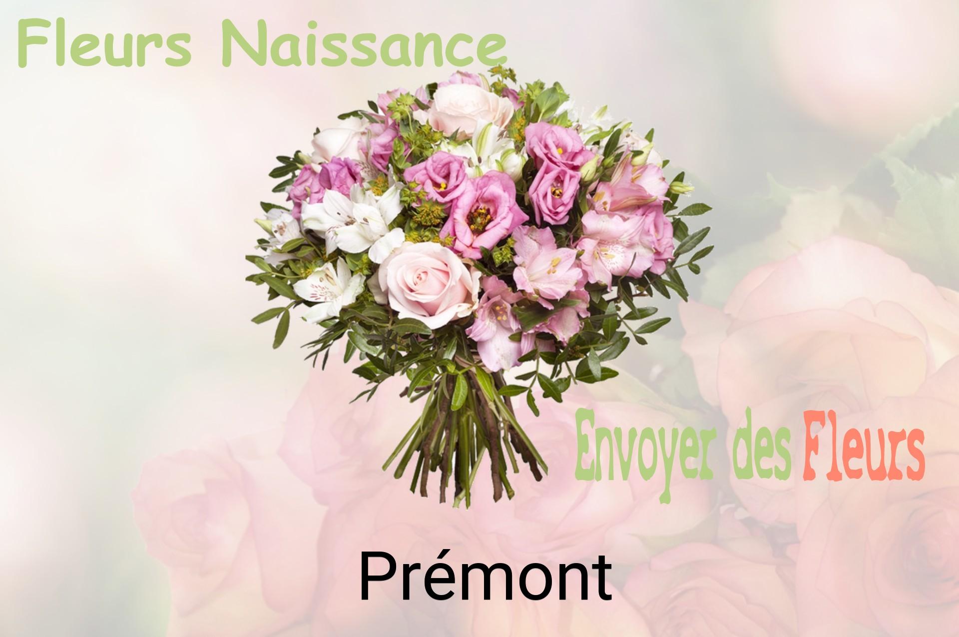 Bouquet de fleurs de naissance livré à Prémont
